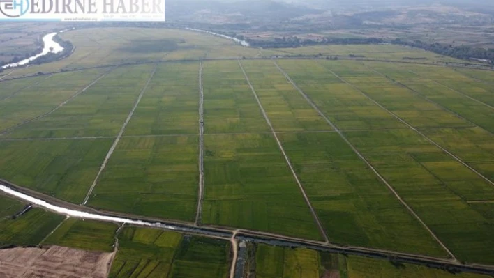 2021 sonuna kadar 380 bin 885 hektar arazi toplulaştırılacak