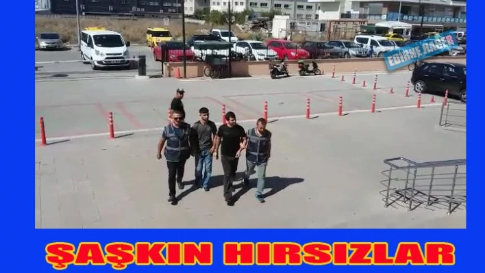 Hırsızın aptalları