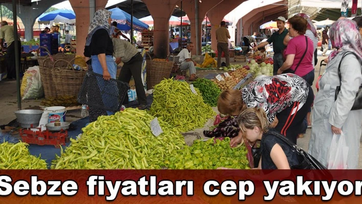 Hıyar 5 lira oldu