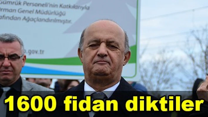 Yeşillikler içinde olacak