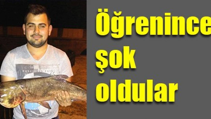 Bu balık başka balık