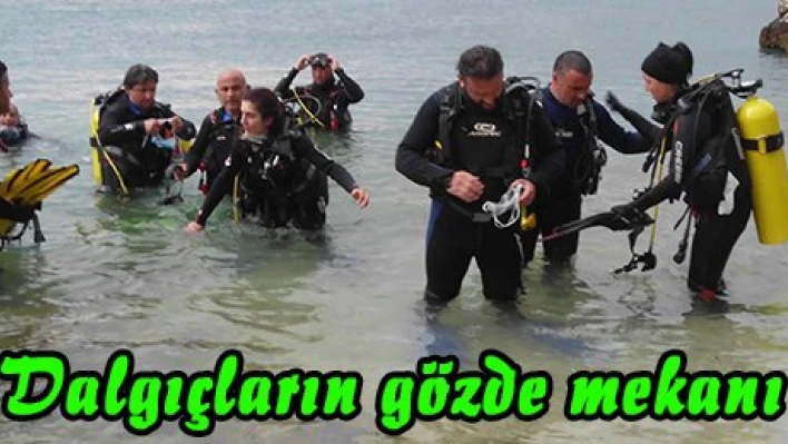 Dalgıçların gözde mekanı