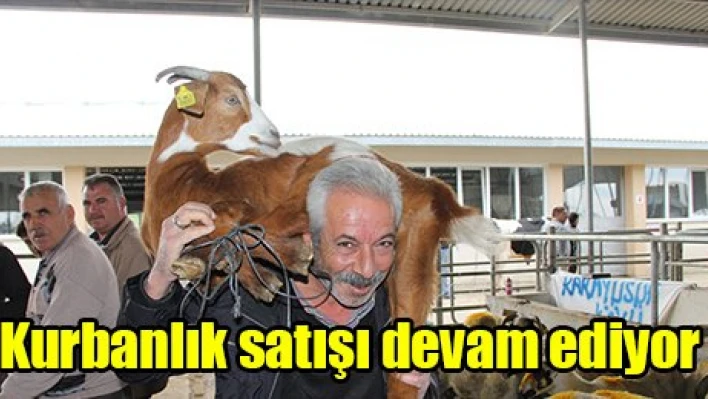 Kurbanlık satışı devam ediyor