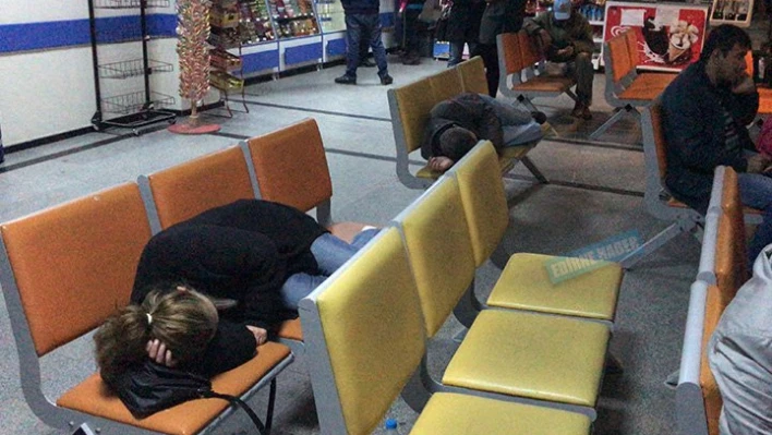 'Evden atıldılar, gidecek yerleri de yok!'