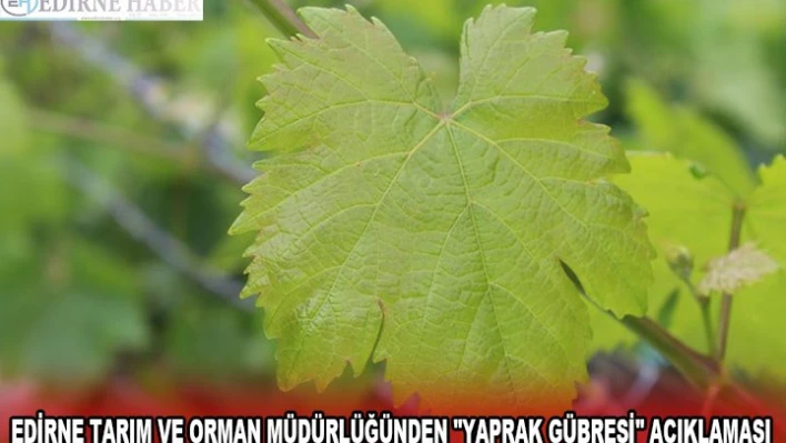 EDİRNE TARIM VE ORMAN MÜDÜRLÜĞÜNDEN 'YAPRAK GÜBRESİ' AÇIKLAMASI