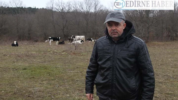 Gebe ineği parçalayıp çaldılar