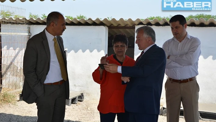 YENİ HAYVAN BARINAĞI YAPILIYOR