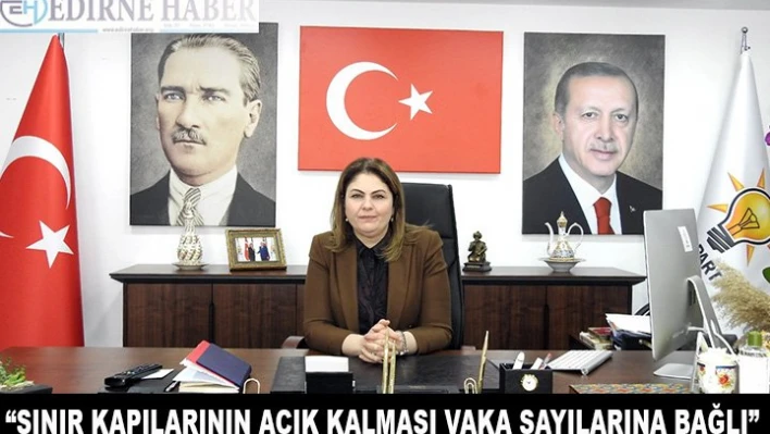 'Sınır kapılarının açık kalması vaka sayılarına bağlı'