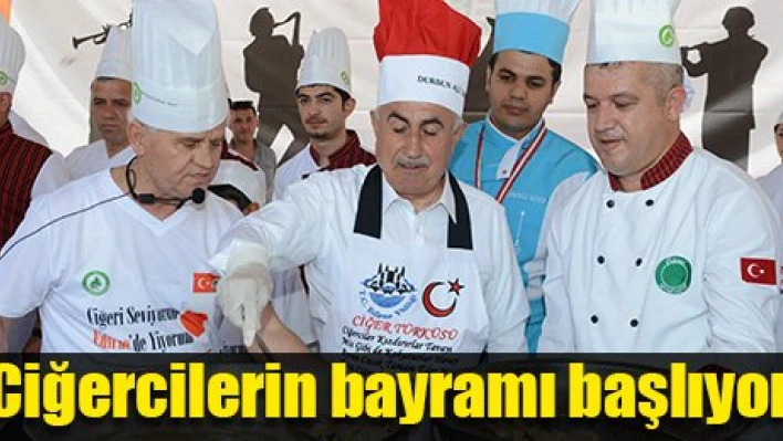 Haydi festivale