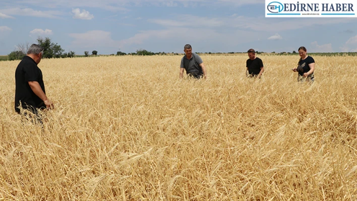 Edirne'de 11 köyde 16 bin dekar ekili arazi zarar gördü