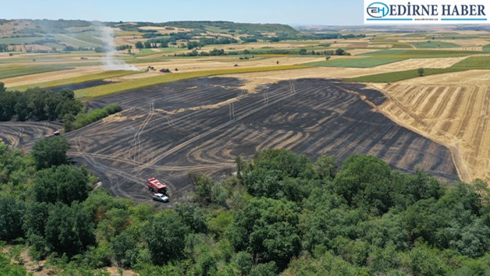 Edirne'de 25 dekarlık buğday ekili alan yandı