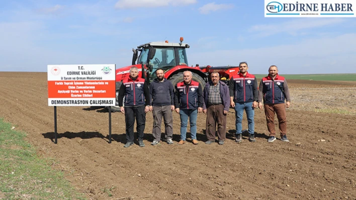 Edirne'de ayçiçeğinde verimlilik çalışmaları sürüyor