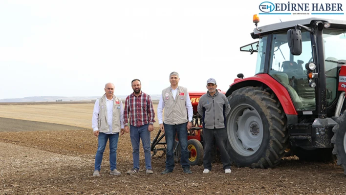 Edirne'de bu yıl 1 milyon 350 bin dekarlık alanda buğday ekimi yapılacak