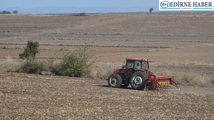 Edirne'de çiftçiler, bu yıl da buğday tohumlarını kuru toprağa ekiyor
