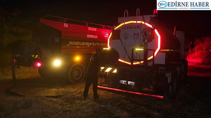 Edirne'de çıkan yangın ormanlık ve tarım arazisine zarar verdi