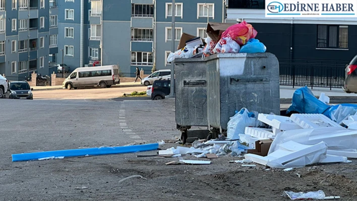 Edirne'de çöp sorunu bitmiyor