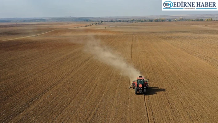 Edirne'de etkili olan sağanak yağış çiftçilerin yüzünü güldürdü