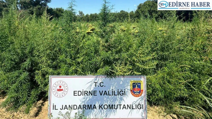 Edirne'de nokta operasyon