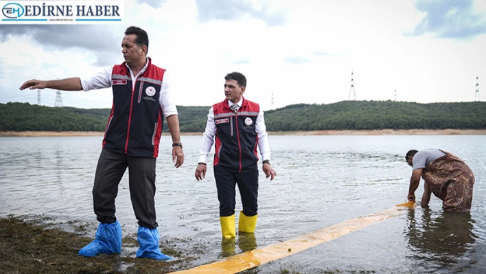 Edirne'de üretilen sazan yavruları 23 gölete salındı