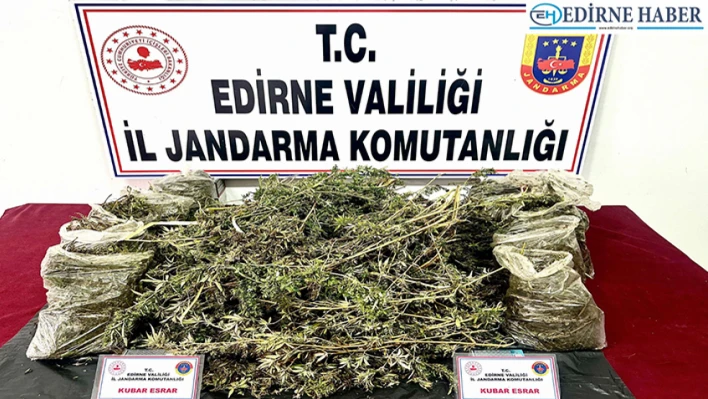 Edirne'de uyuşturucu operasyonunda 1 kişi tutuklandı