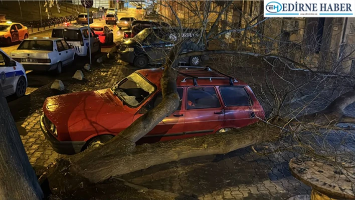 Edirne'de üzerine ağaç devrilen otomobilde maddi hasar oluştu.