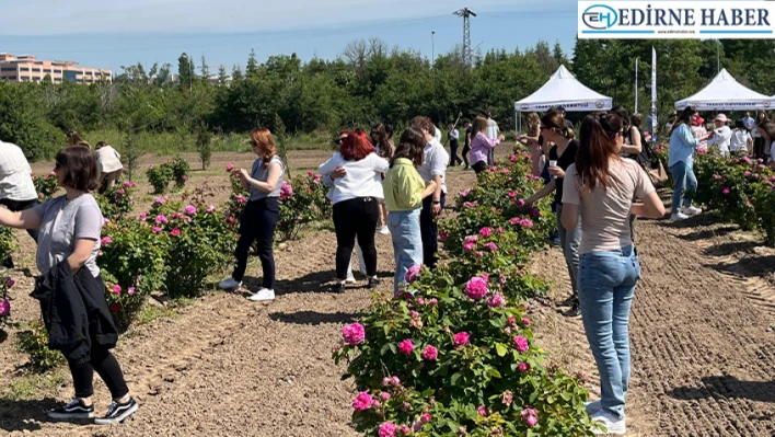Edirne Gülü için hasat şenliği düzenlendi