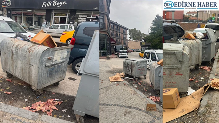 Edirne'nin göbeğinde çöp, çamur ve koku!