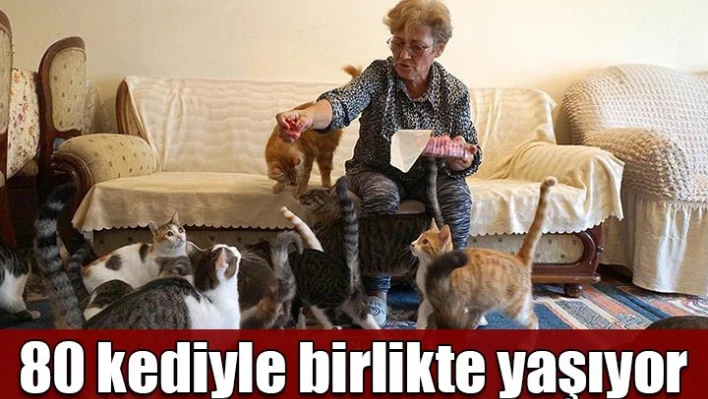 Kiralık ev arıyor