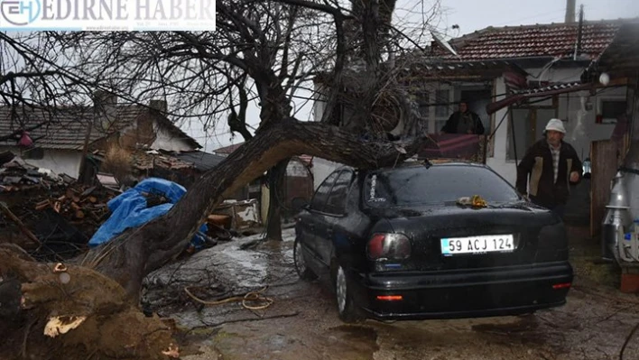 Bazı elektrik direkleri ve ağaçlar devrildi 