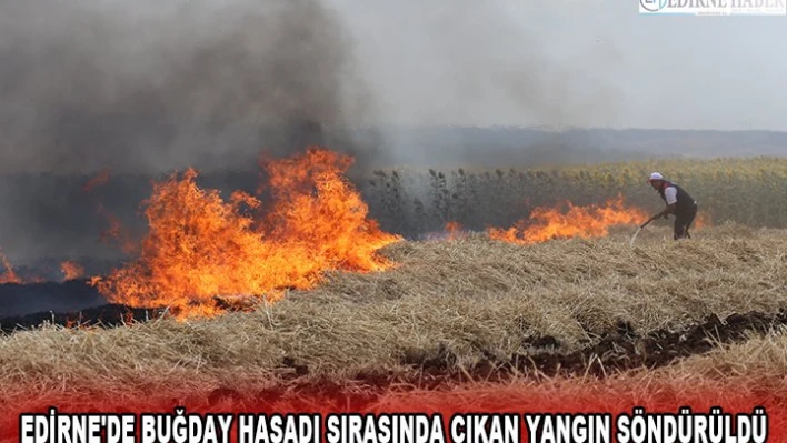 EDİRNE'DE BUĞDAY HASADI SIRASINDA ÇIKAN YANGIN SÖNDÜRÜLDÜ