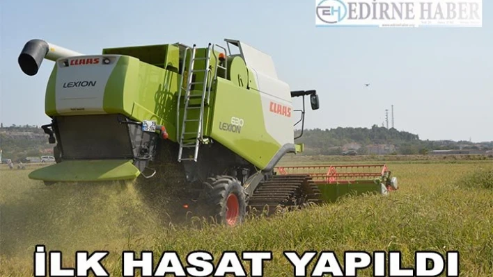 İpsala'da çeltik hasadı başladı