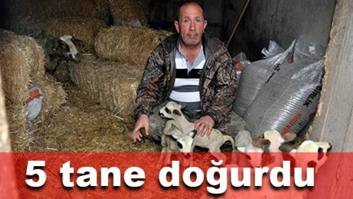 Maşallahı var