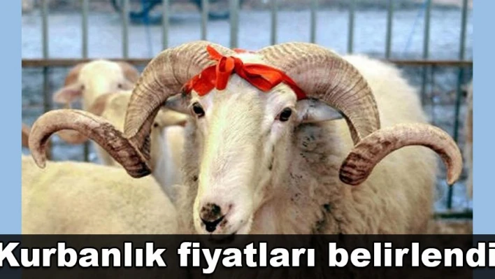 Baskül fiyatları belli oldu
