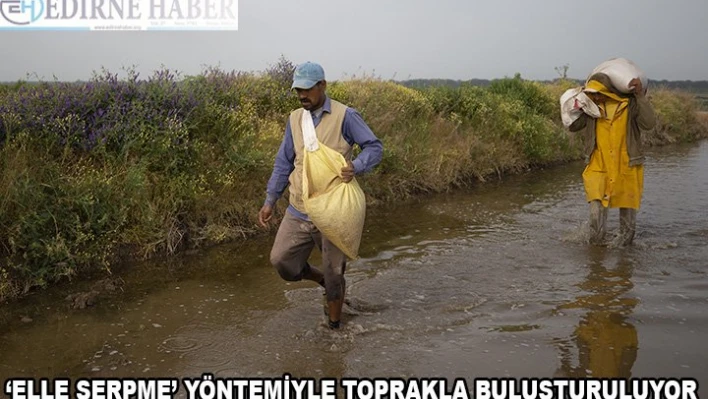 'Beyaz altın' elle serpme yöntemiyle toprakla buluşuyor