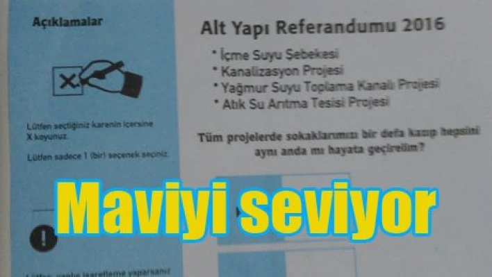 Mavi sevgisi