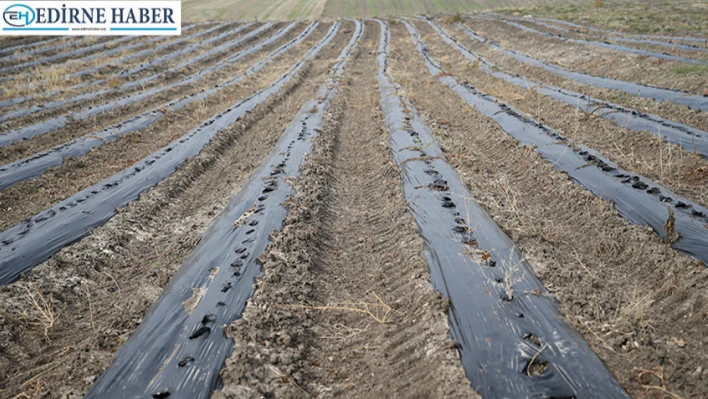 Efsane renk Edirne kırmızısı kentin ekonomik ve kültürel değerleri arasına girdi