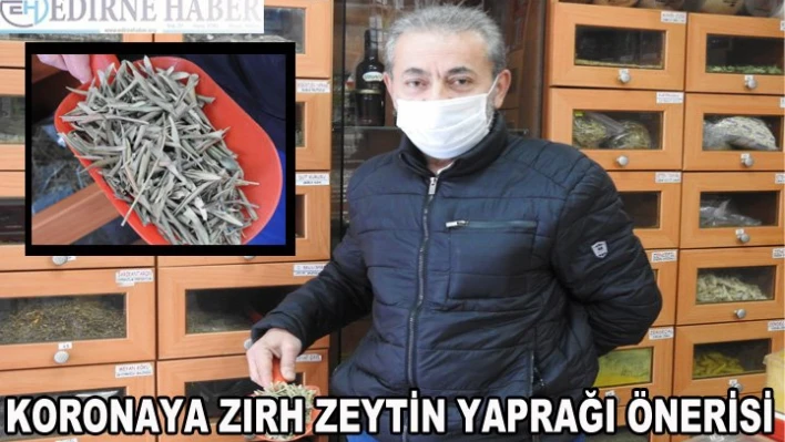 Koronaya zırh zeytin yaprağı