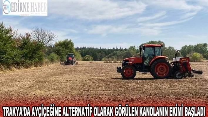 Trakya'da ayçiçeğine alternatif olarak görülen kanolanın ekimi başladı