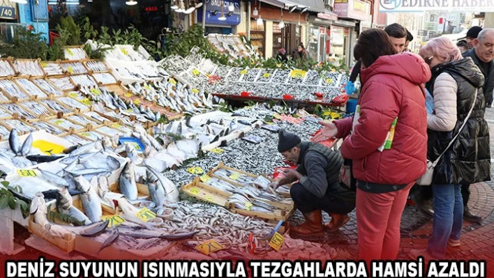 Deniz suyunun ısınmasıyla tezgahlarda hamsi azaldı
