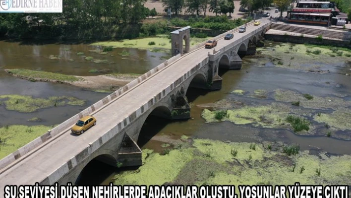 Su seviyesi düşen nehirlerde adacıklar oluştu, yosunlar yüzeye çıktı