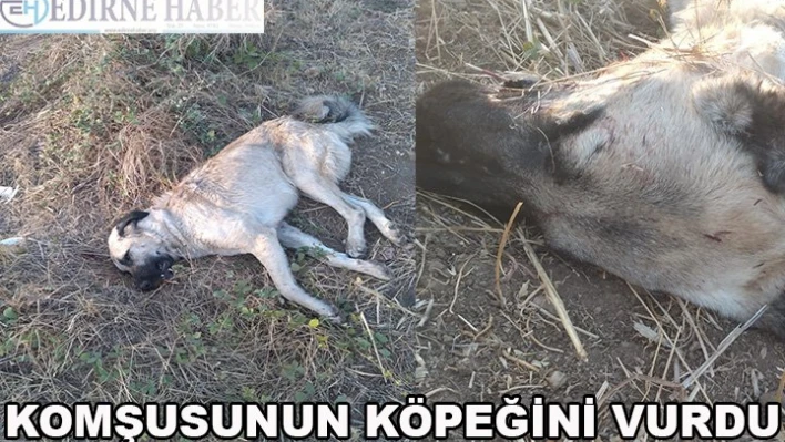 Komşusunun köpeğini vurdu
