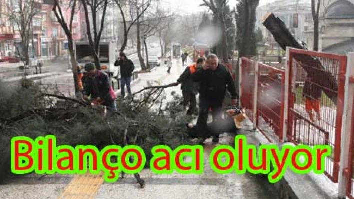 Fırtına yıktı geçti