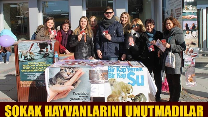 Sokak hayvanları için