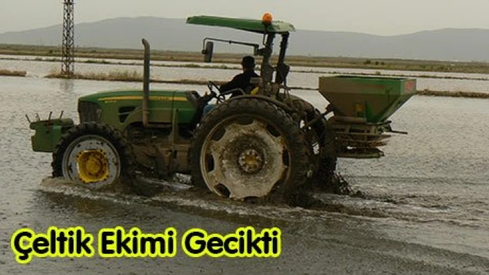 Çeltik Ekimi Gecikti