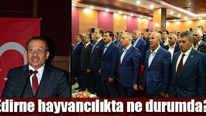 'Ülke hayvancılığında Edirne önemli'