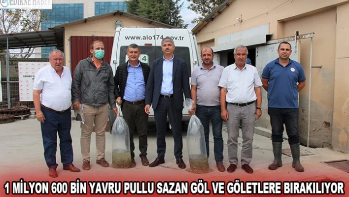  1 milyon 600 bin yavru pullu sazan göl ve göletlere bırakılıyor