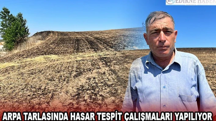 Arpa tarlasında hasar tespit çalışmaları yapılıyor