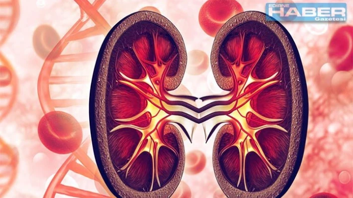 Organ Bağışı İle İlgili Bilmeniz Gerekenler