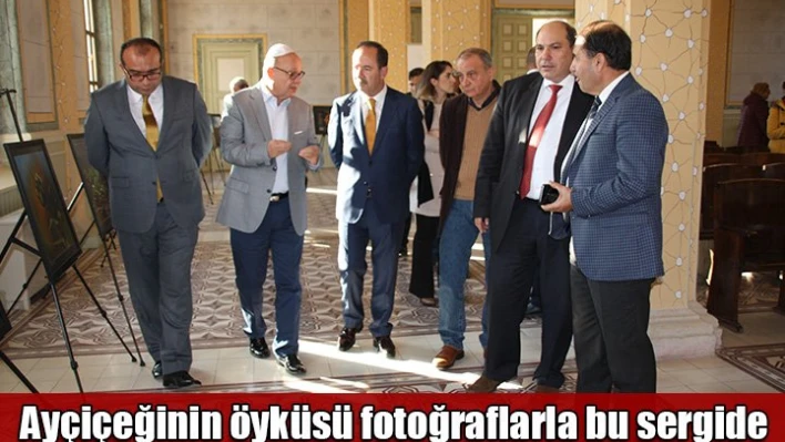 Ayçiçeğinin serüveni