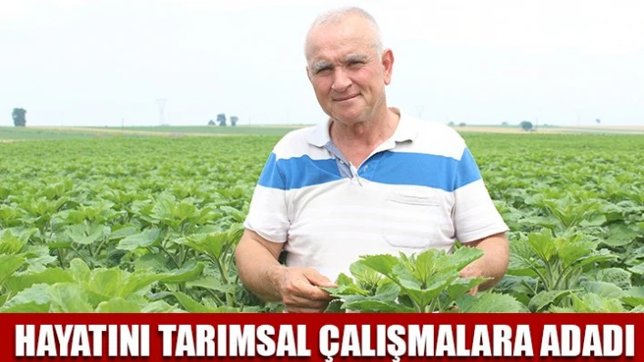 Ziraat mühendisi gibi çalışıyor
